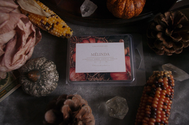 Fondant parfumé Mélinda — Citrouille, Ambre, Girofle & Vanille