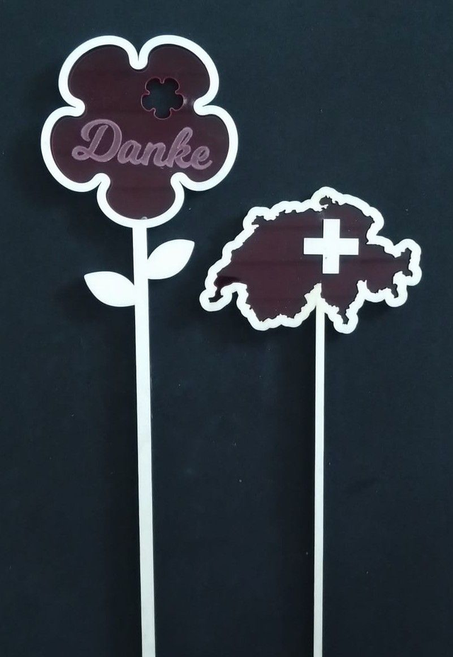 Steckling hoch diverse