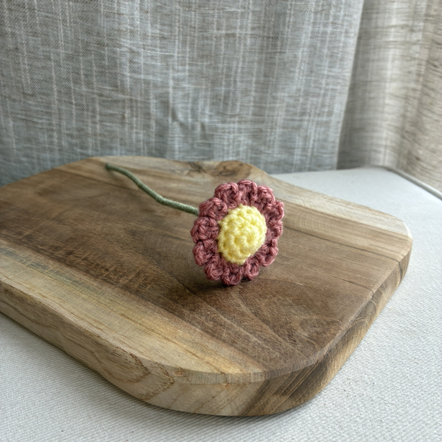 Marguerite rose foncée 