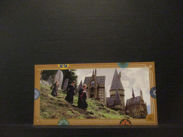Harry Potter Original Trading Card #42