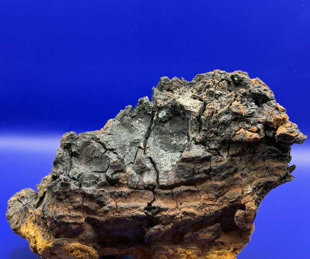 Chaga chunks 50 grams