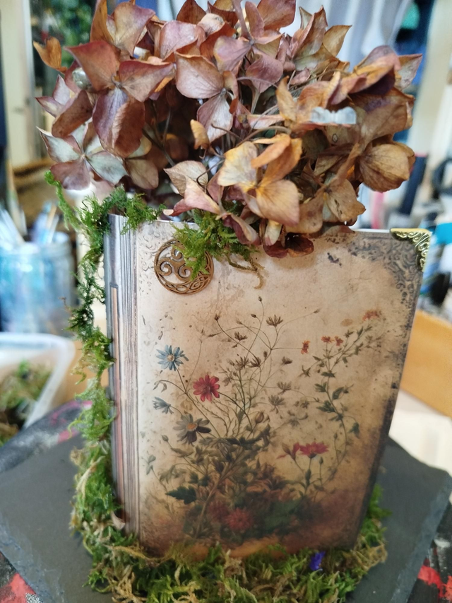 Histoire de dragon et de chevalier 