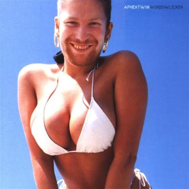 Aphex Twin / Windowlicker (12 inch)