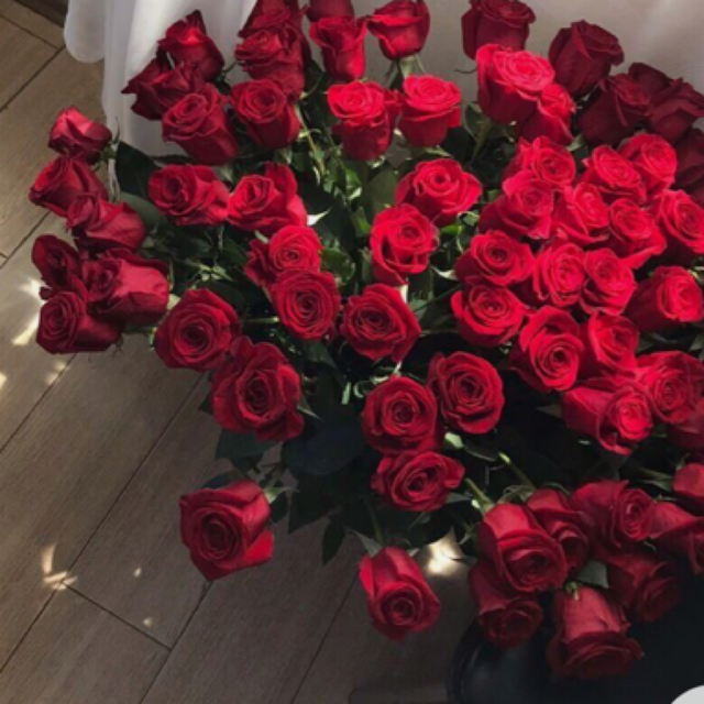 Red Roses Wrapped (half dozen)