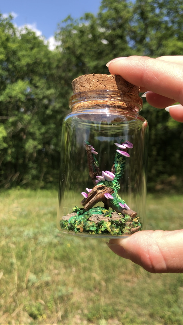 Champignon arbre mauve