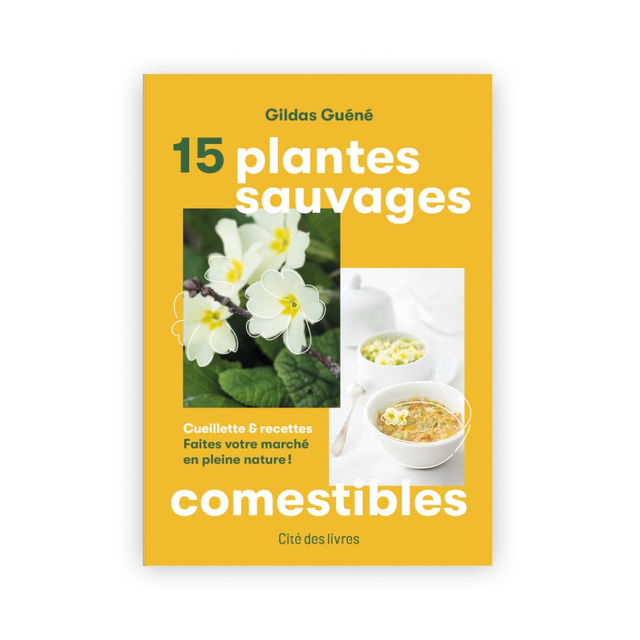 15 plantes sauvages comestibles