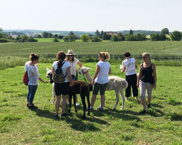 La Vida - Auszeit Frauenabend bei Alpakas