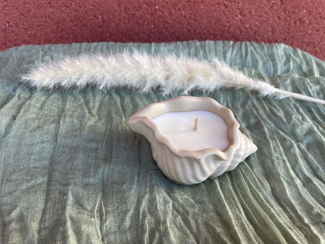 Recharge pour bougie - Bulot - 25 g