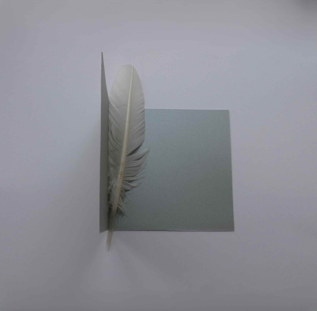 Le martin-pêcheur de Noël