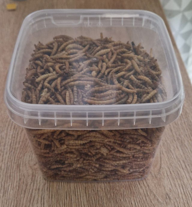 Torkad Mjölmask 1 Liter / 170 gram
