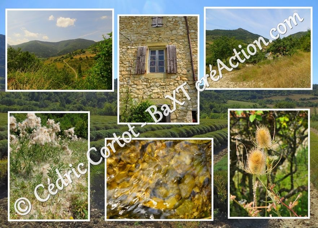 Carte postale - Paysages et divers (Ref Drôme 2)