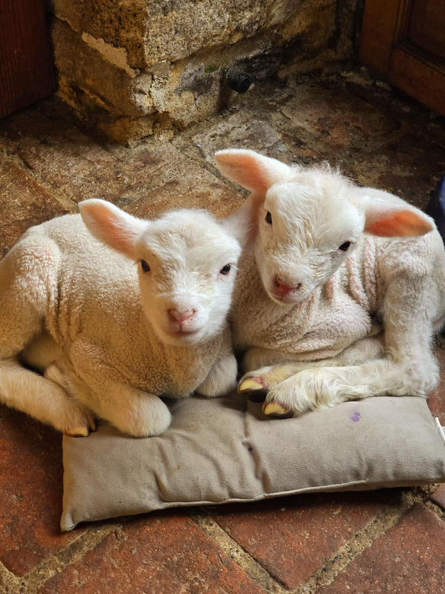 A Donation General Needs