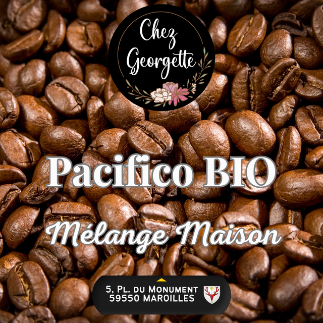 CAFÉ MÉLANGE MAISON PACIFICO Bio - Sachet de 250g 
