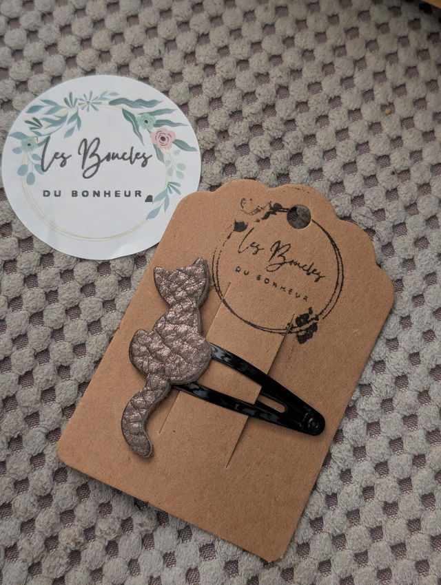 Barrette b014