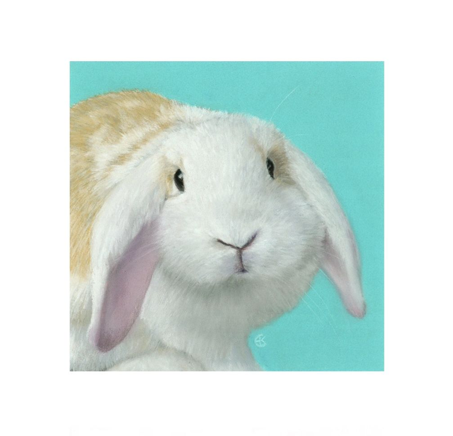 Print (medium) 'OLLIE' (Konijnenparadijs) 