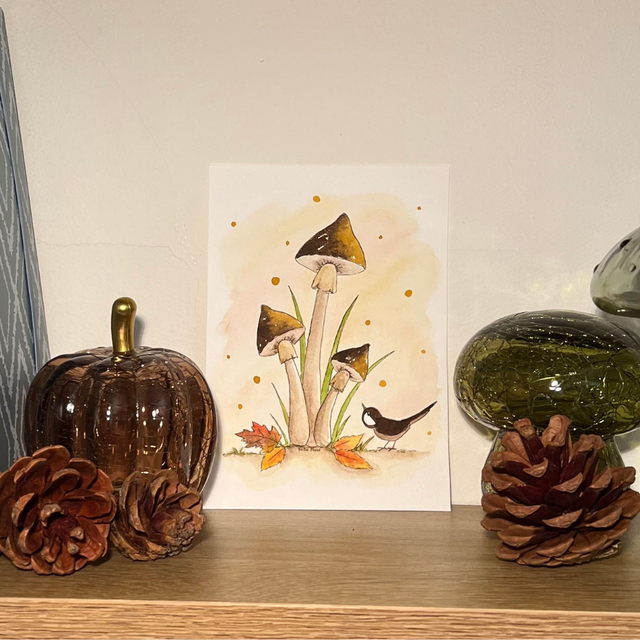 Le trio curieux ✨ A6