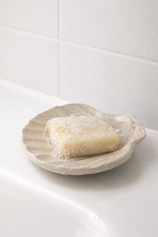 Porte savon Coquille Saint Jacques