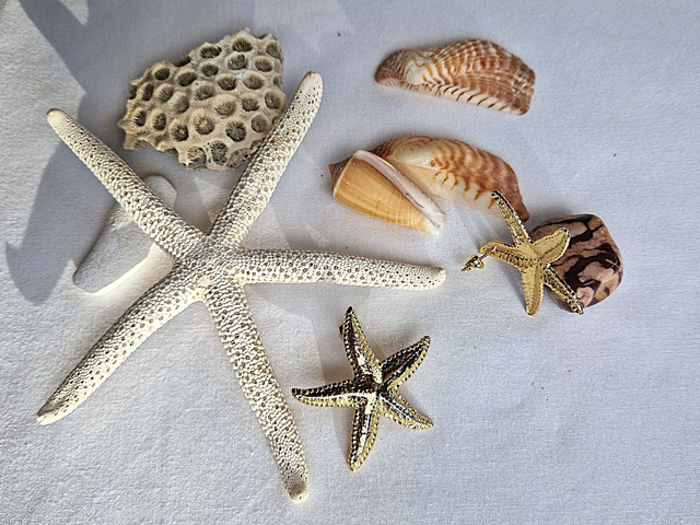 Boucles d'oreilles Etoile de mer en doré