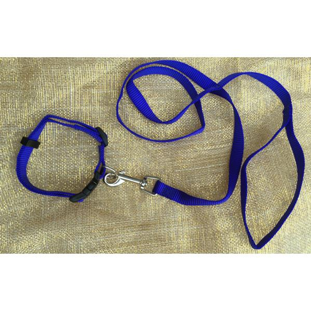Setje halsband+ lijn nylon blauw