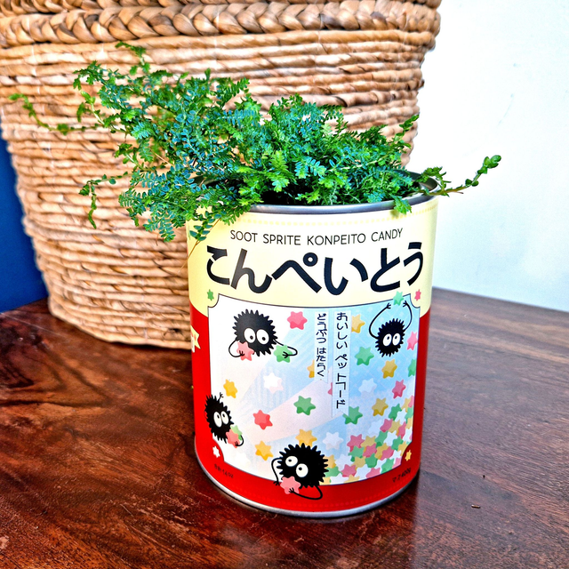 Soot Sprite Studio Ghibli Storage Tin