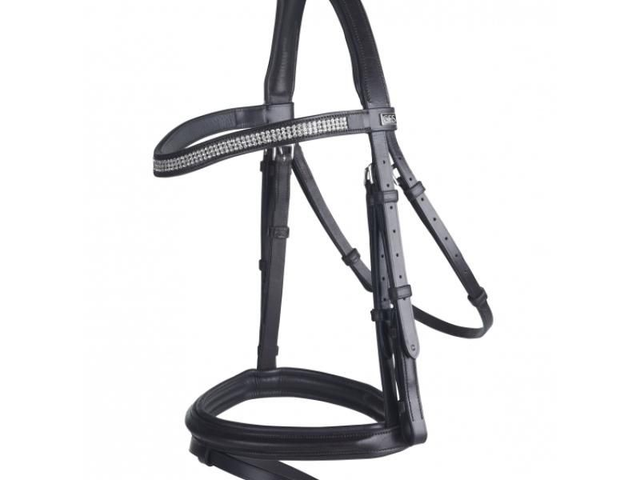 GFS Monarch Crystal Flash Bridle