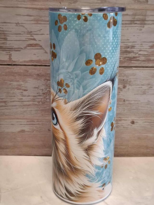 Gourde canette Maine coon