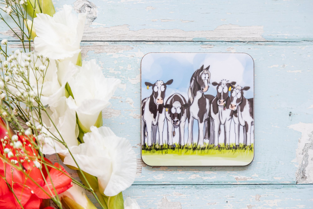 Cow Pony Coaster