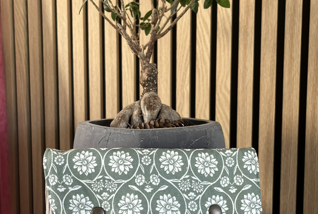 Protège livre de poche