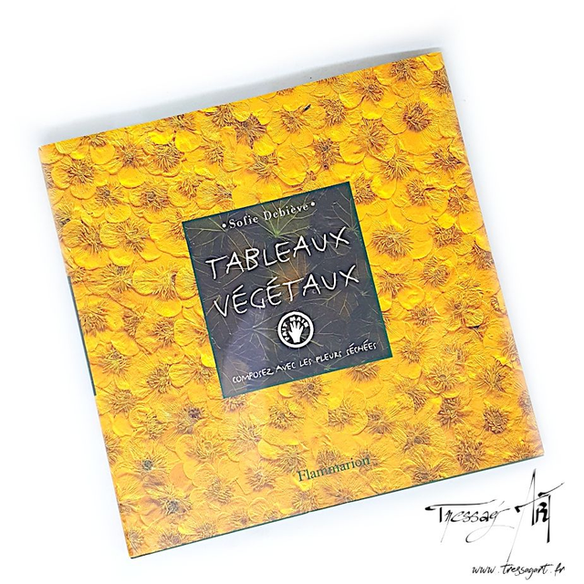 LIVRE OCCASION - TABLEAUX VEGETAUX COMPOSER AVEC LES FLEURS SECHEES - LO075