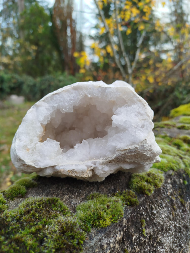 Géode de Quartz ( Cristal de Roche) 