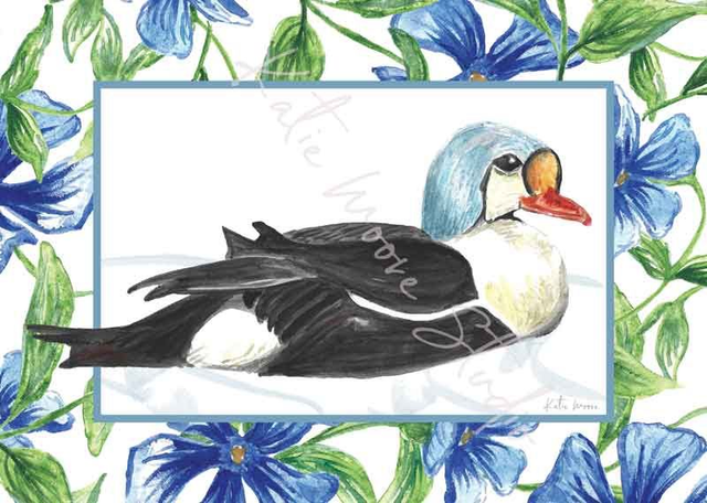 King Eider, Periwinkle Border