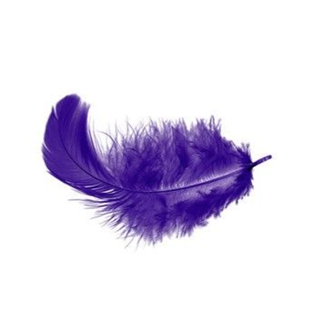 Collier petite Plume