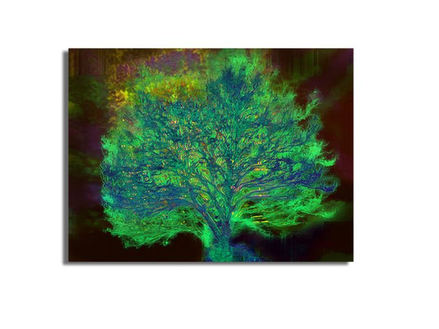 02 Nature - Spring Will Be,2021.