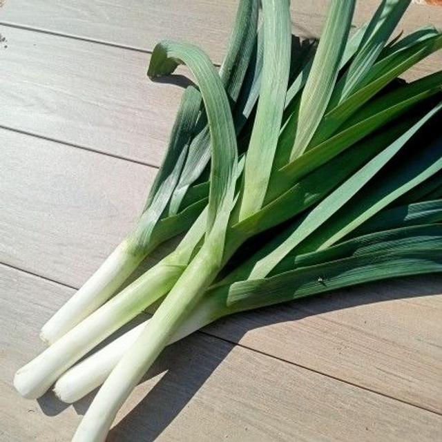 Poireau 500g 🧺