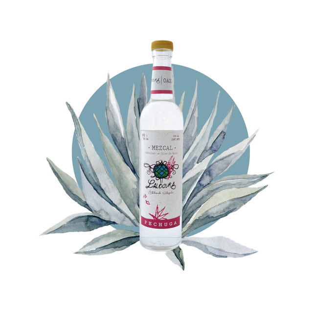 Lalocura - Distillat D’agave