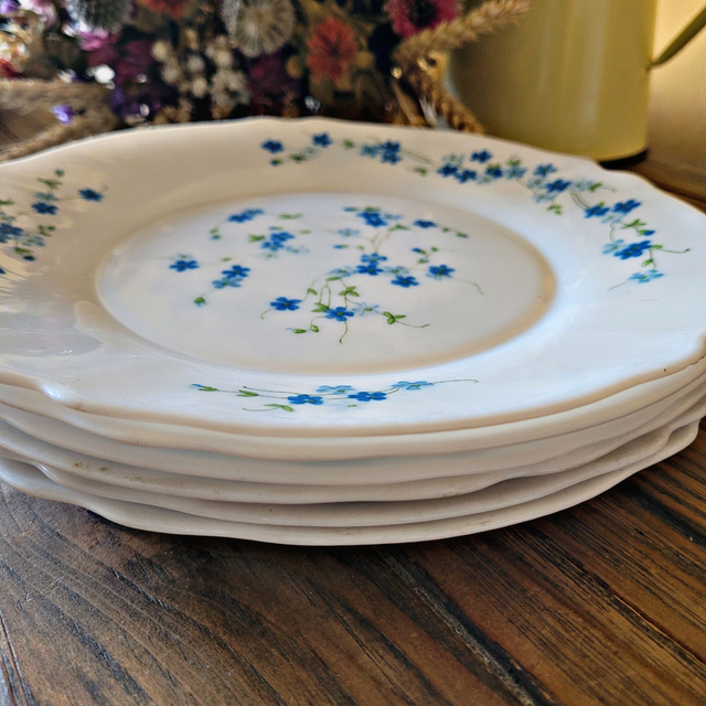 X Assiettes à dessert Arcopal modèle Véronica / Myosotis (lot de 6)