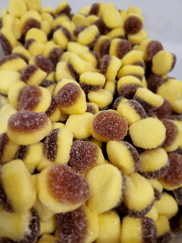 Flans caramel sucrés (100g) halal