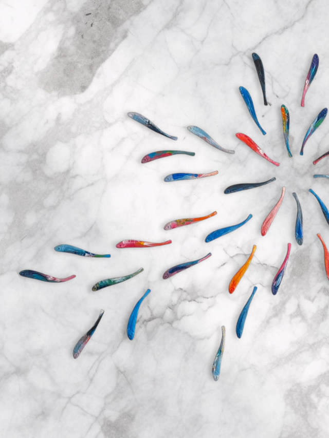  Buy 50 Middy fish- Colour Mix