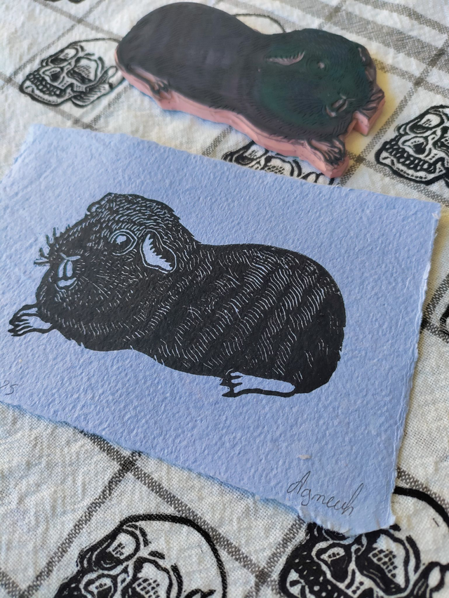 linogravure " Iggy" , cochon d'inde noir 10X15 cm