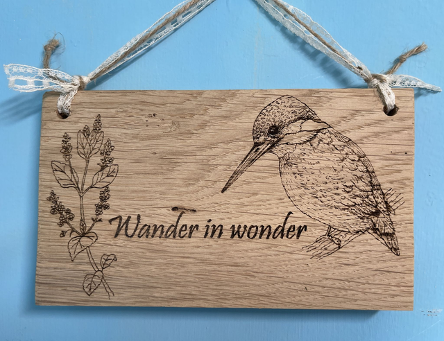Kingfisher on Oak