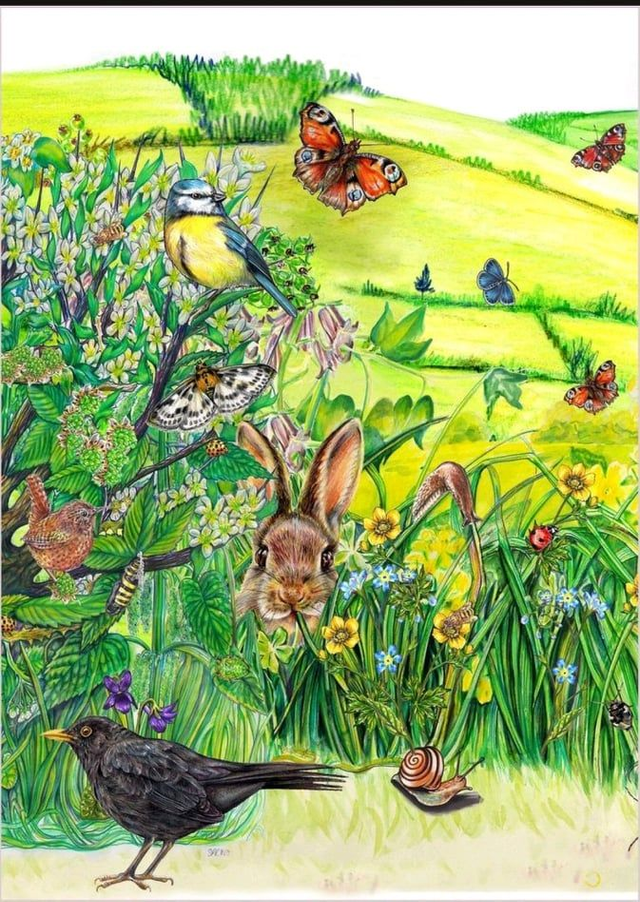 Seasons Notebook - Lined paper - Summer (2)