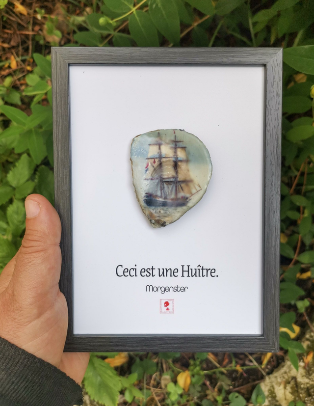 13x18 : Ceci est une huitre "Morgenster"