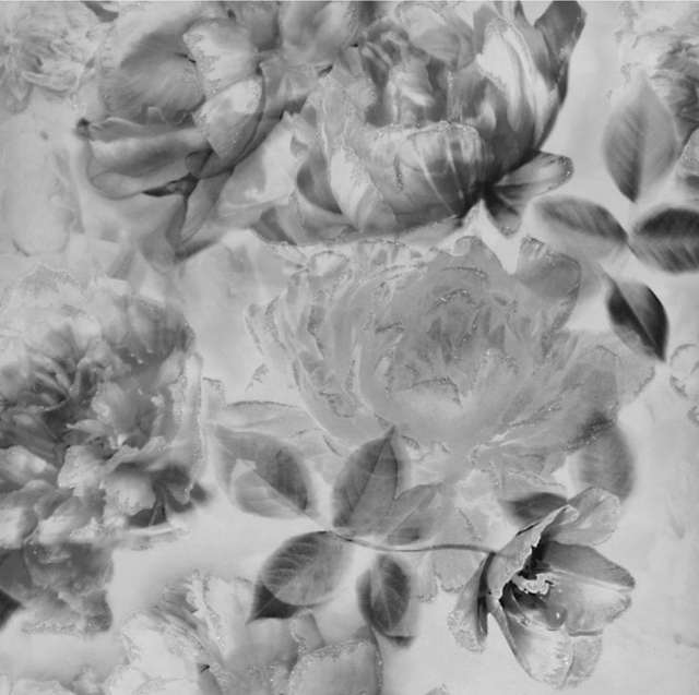 Lipsy London -  Translucent Bloom Grey