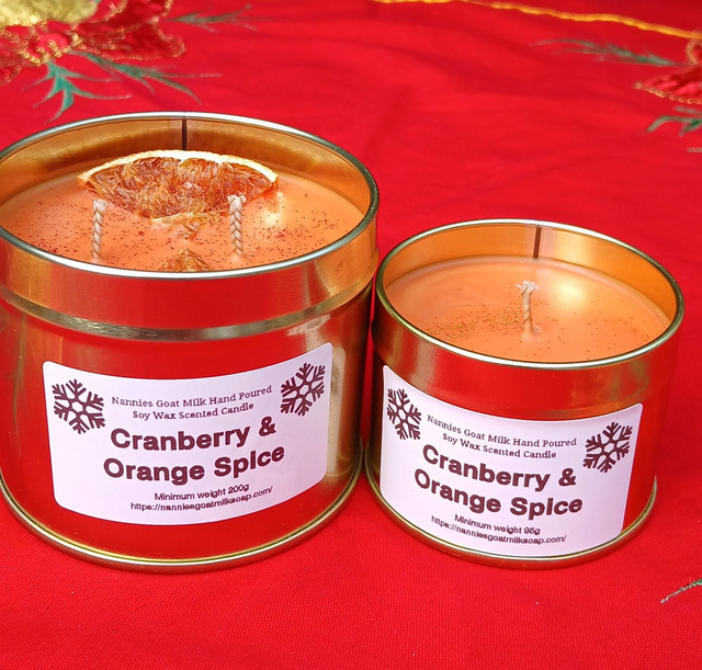 Cranberry &amp; Orange Spice Candle