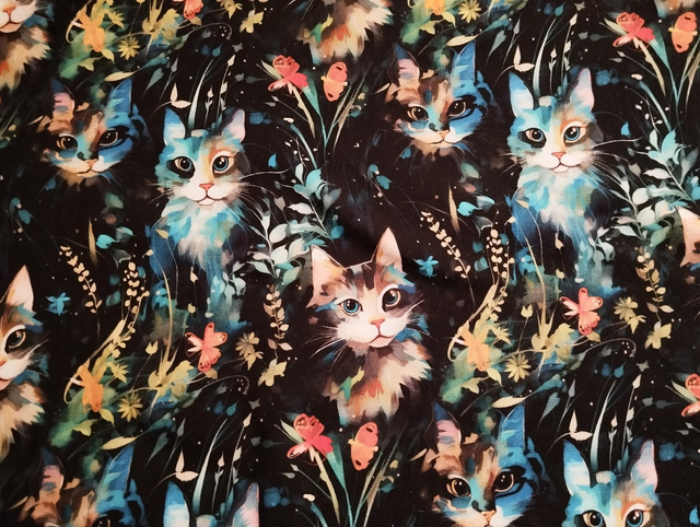 Tissu French Terry Cats multi 