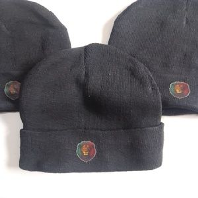 Bonnet Lion Rasta Reggae - Vert Jaune Rouge Noir - Tricot Doux Unisexe