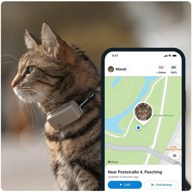 Tractive GPS CAT Mini