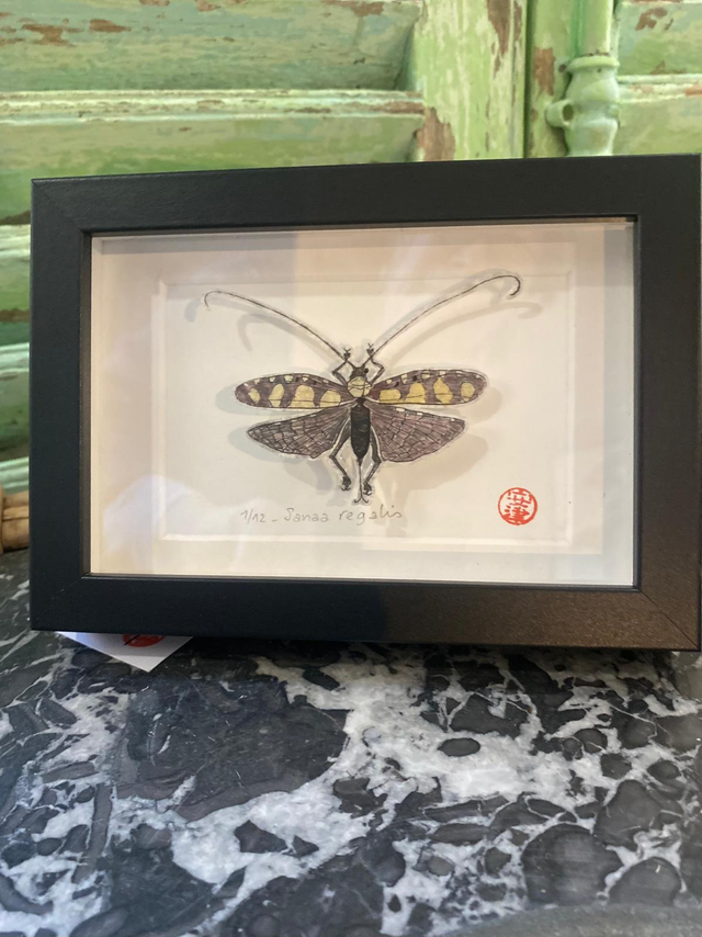 Sanaa regalis - Tirage 1/12