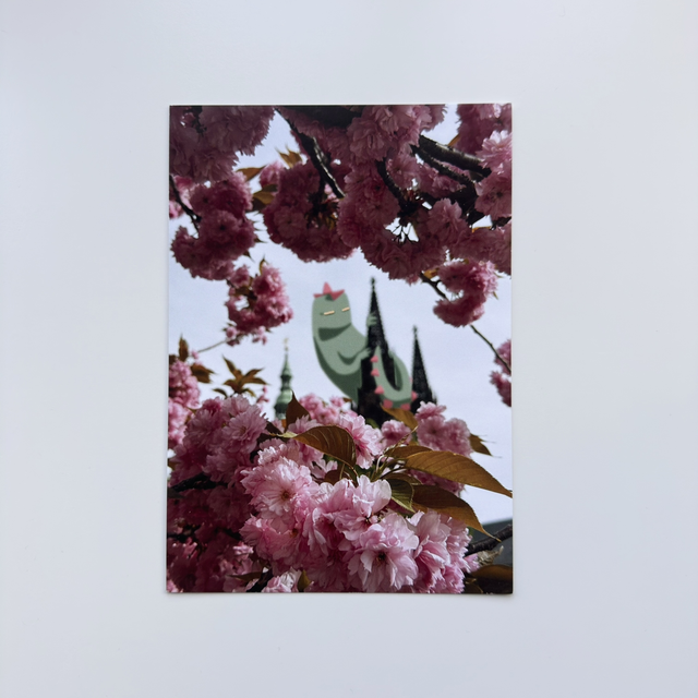 Blossoms and Castle