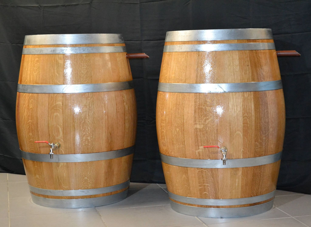 Récupérateur d'eau de pluie